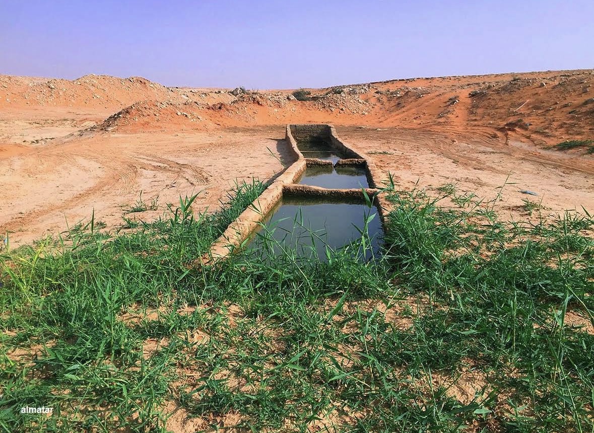 صورة المعلم