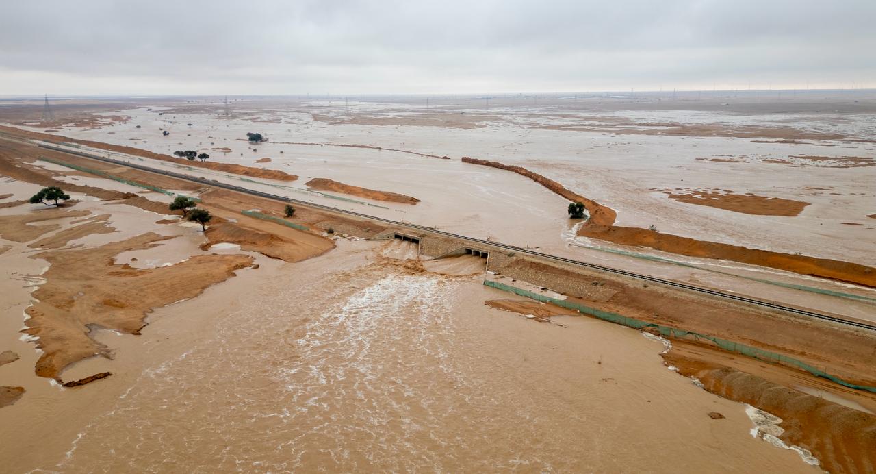 صورة المعلم