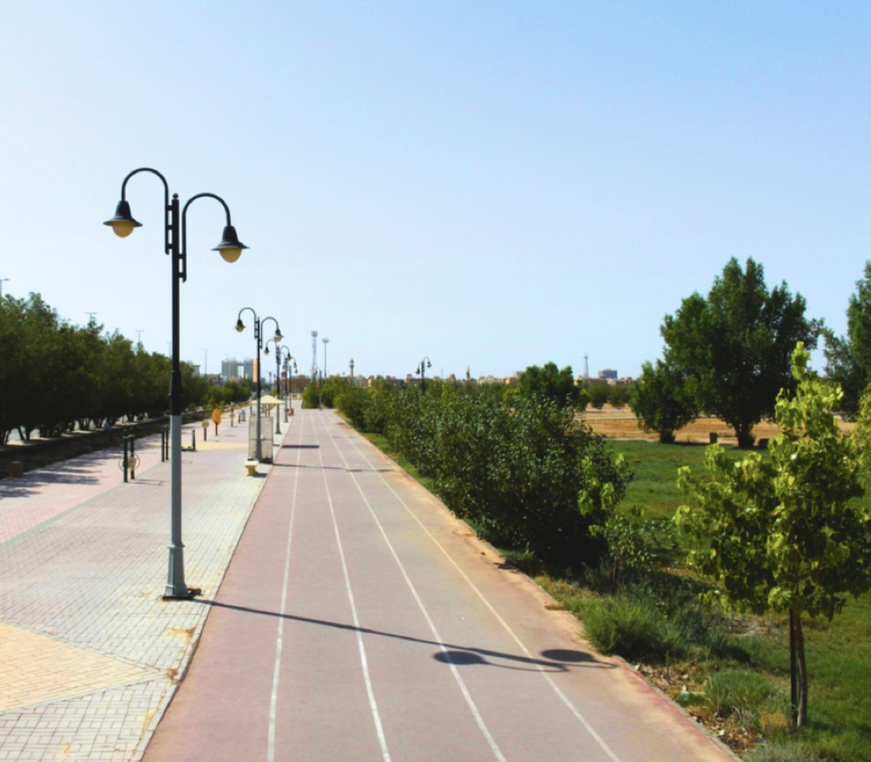 صورة المعلم