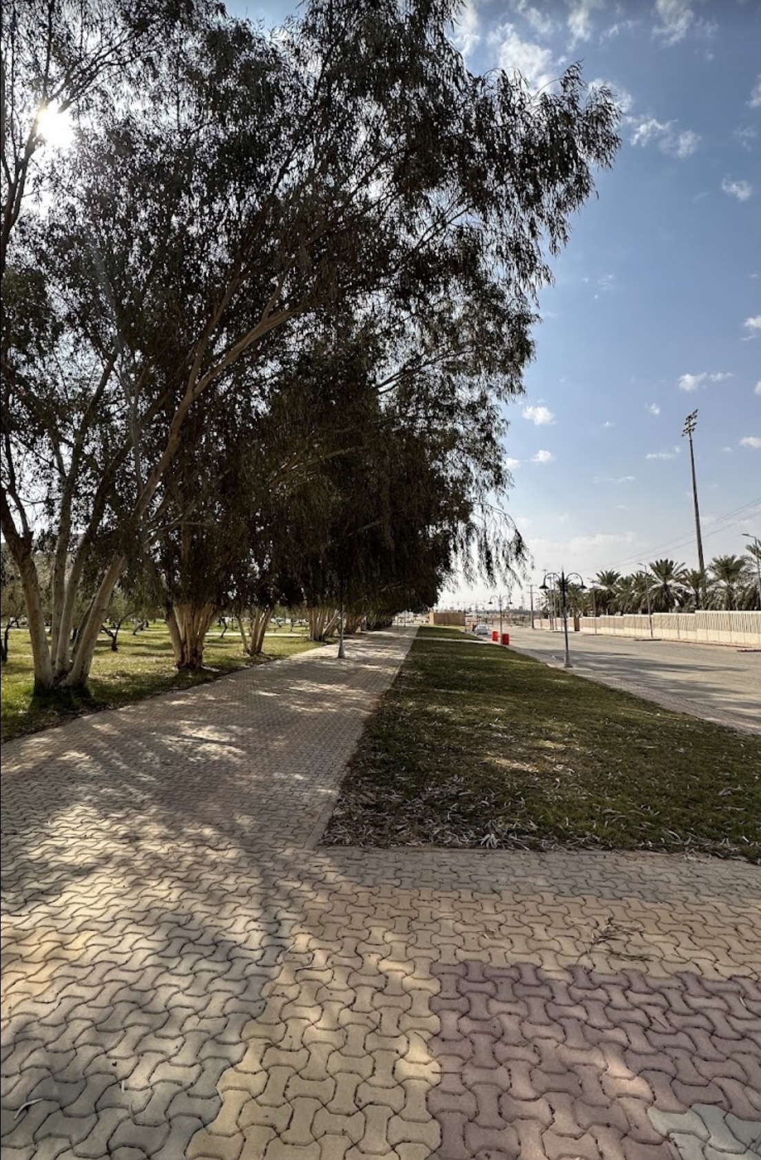 صورة المعلم