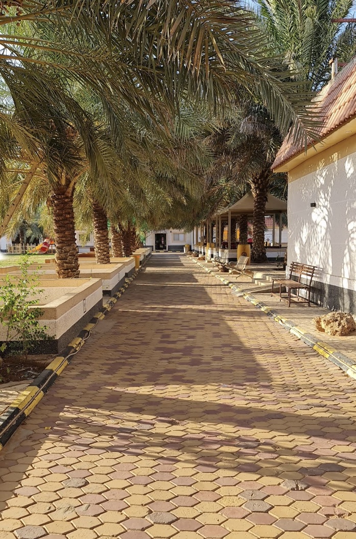 صورة المعلم