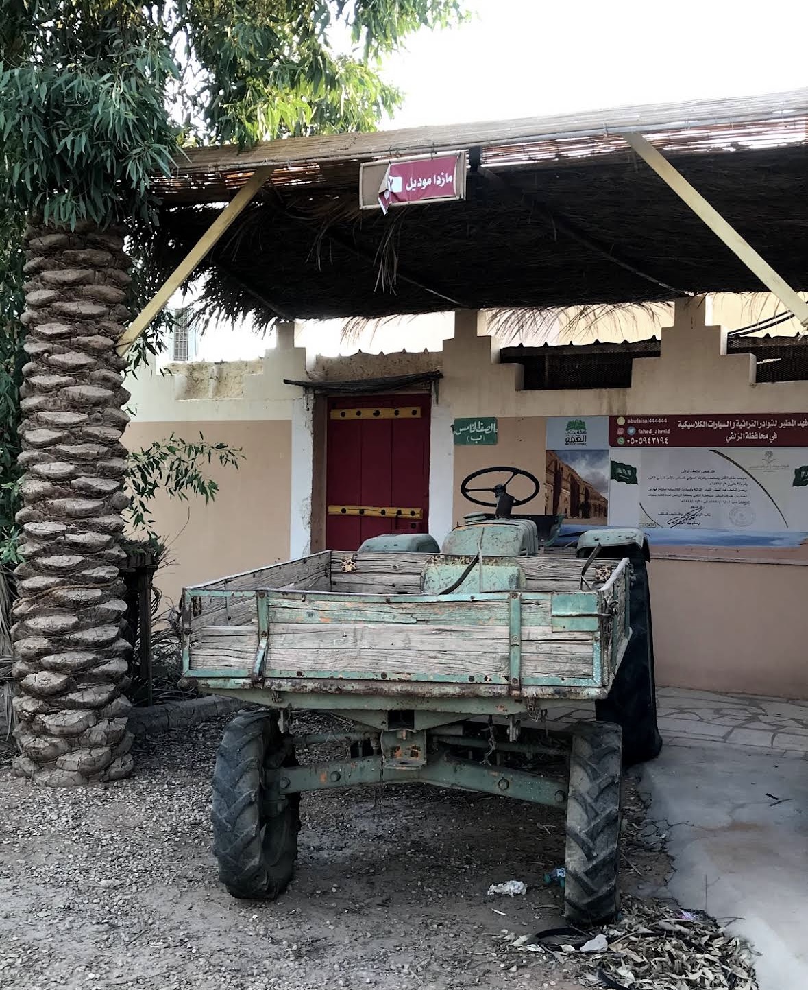 صورة المعلم