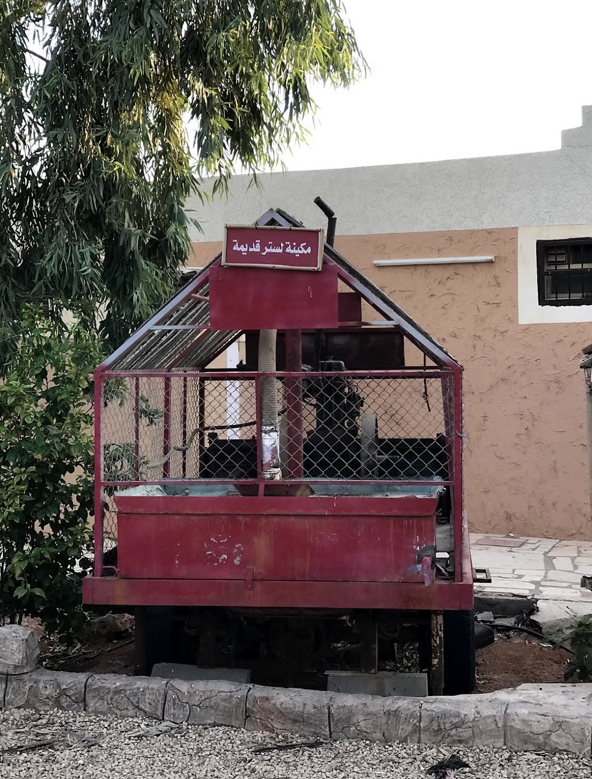 صورة المعلم