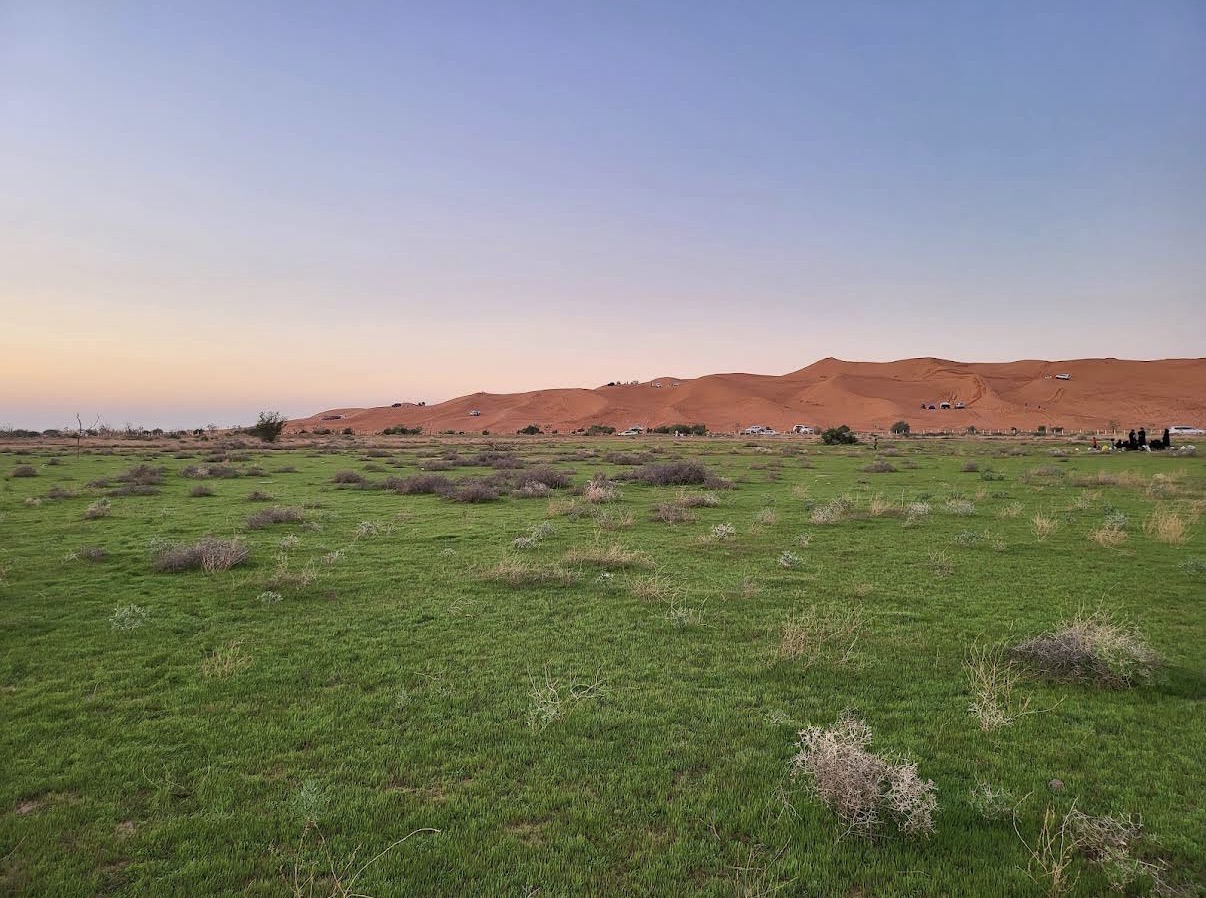 صورة المعلم