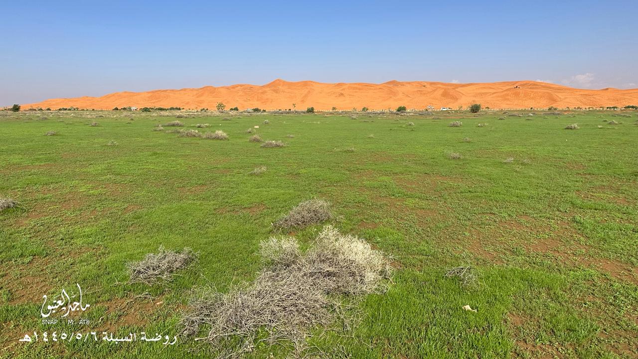 صورة المعلم