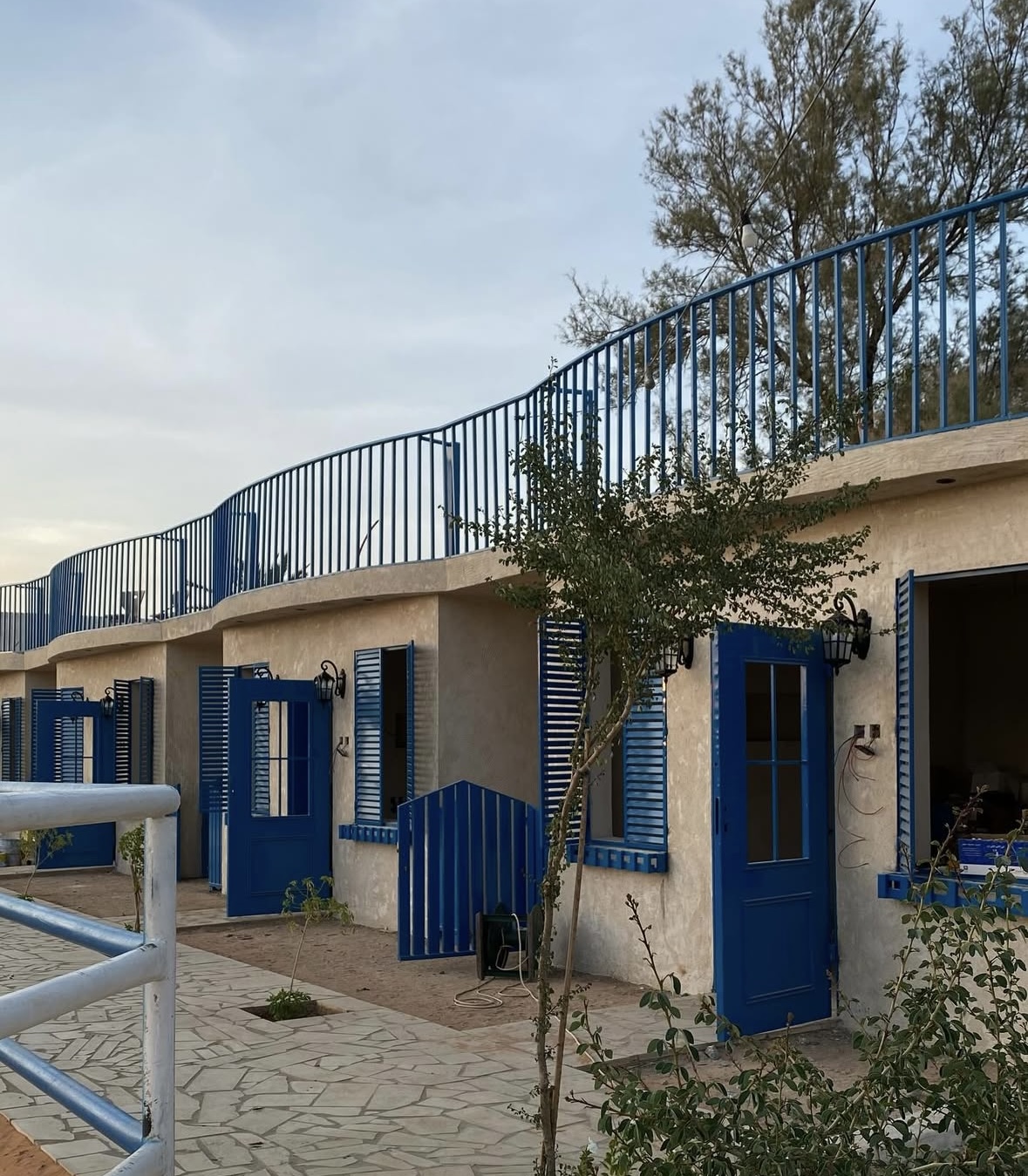 صورة المعلم