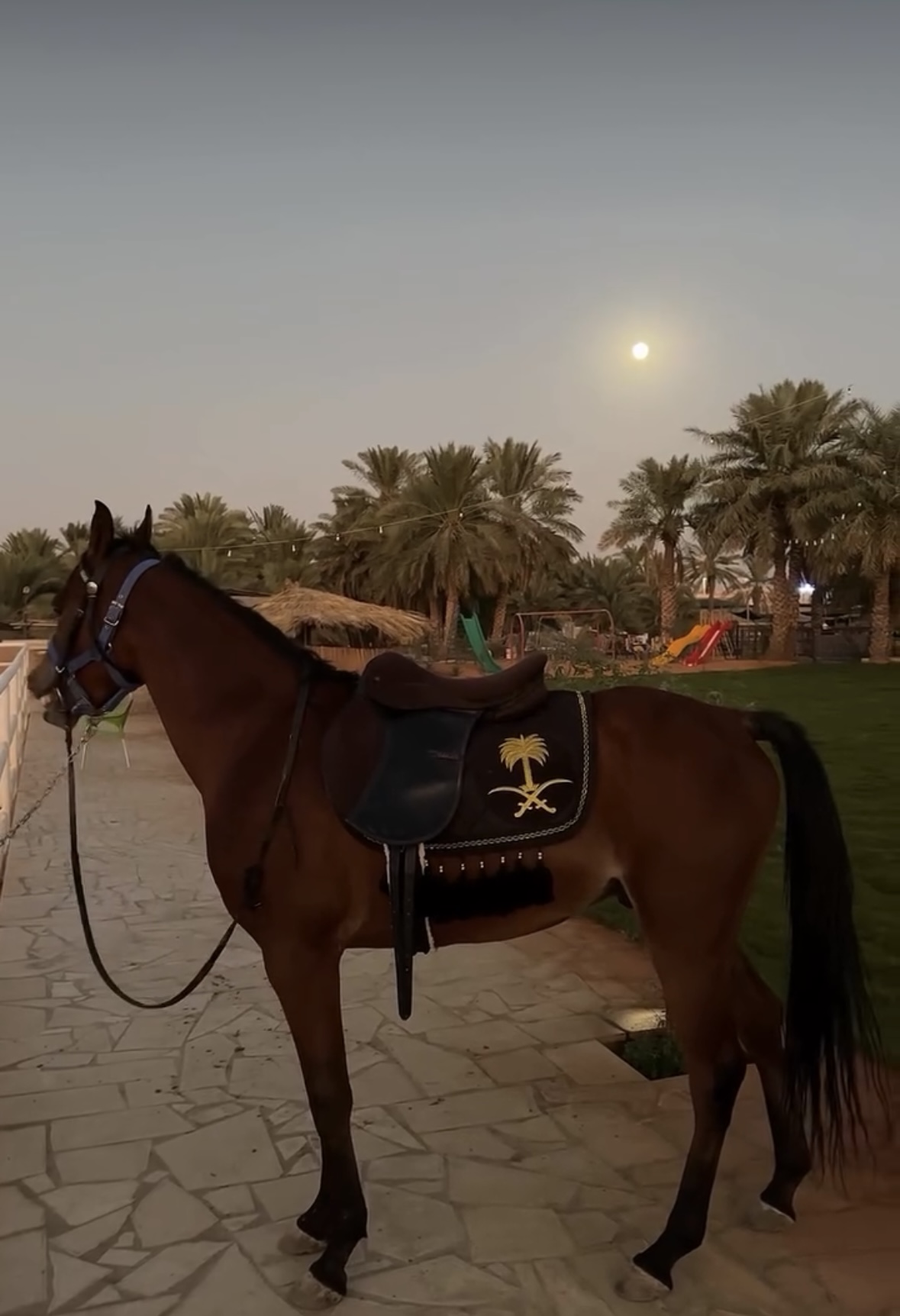 صورة المعلم