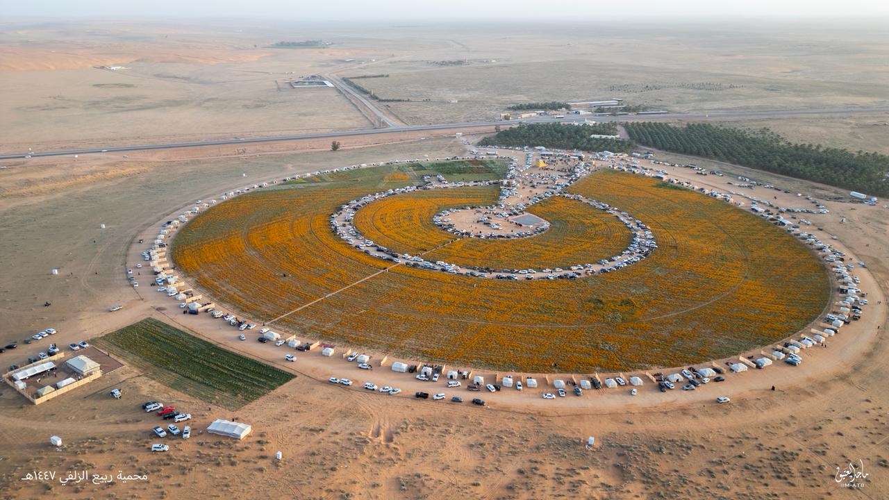 صورة المعلم