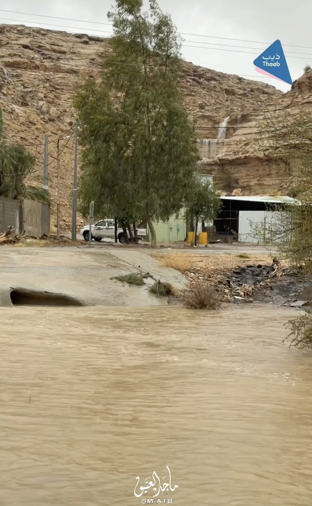 صورة المعلم