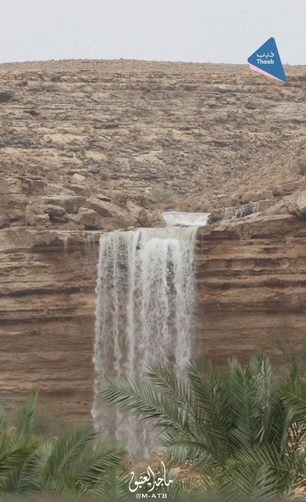 صورة المعلم