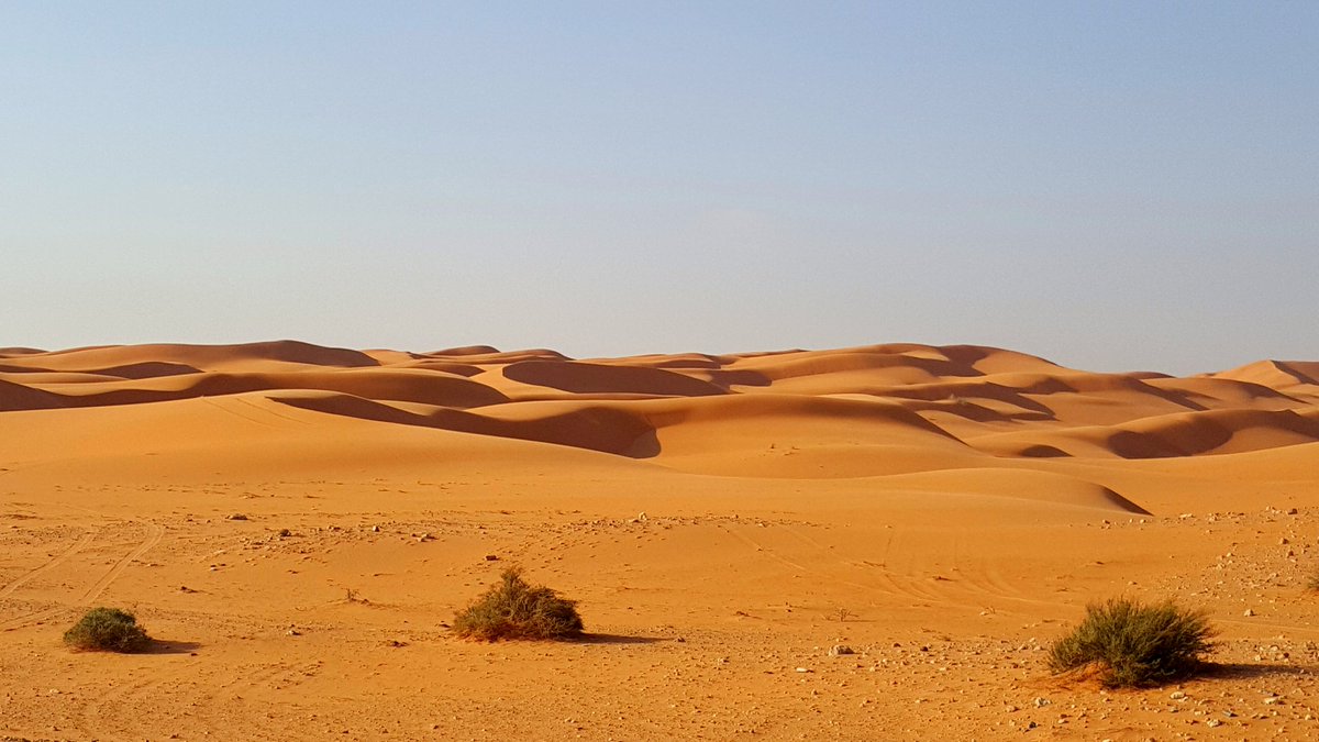 صورة المعلم